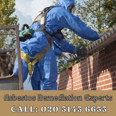 Asbestos Remediation Experts Bexley