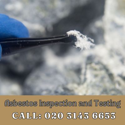 Comprehensive Asbestos Inspection and Testing Services in Bexley